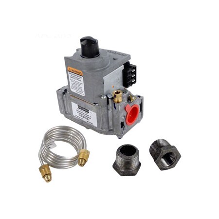 Raypak 004306F 24V 3/4" X 3/4" Slow 004306F